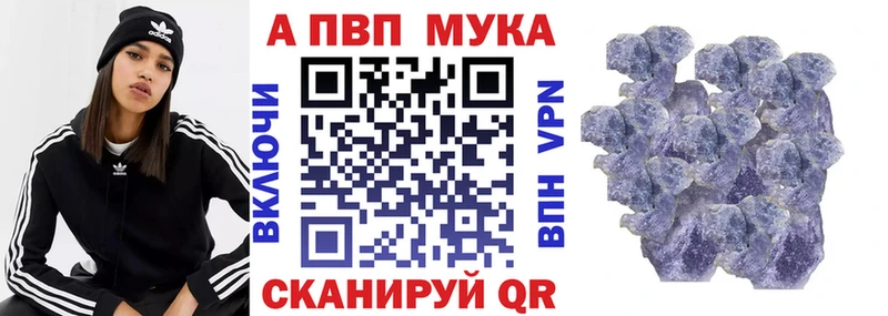 Купить закладки  Новороссийск  Alpha-PVP мука 