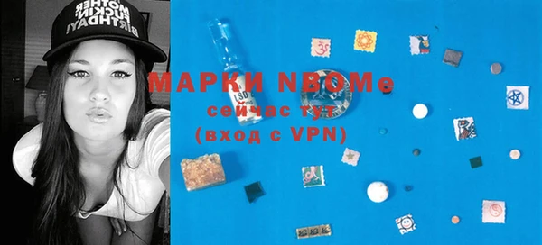 гидра Гусь-Хрустальный