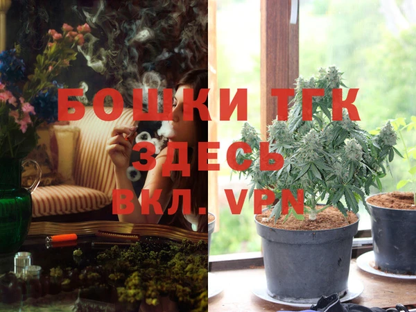 гидра Гусь-Хрустальный