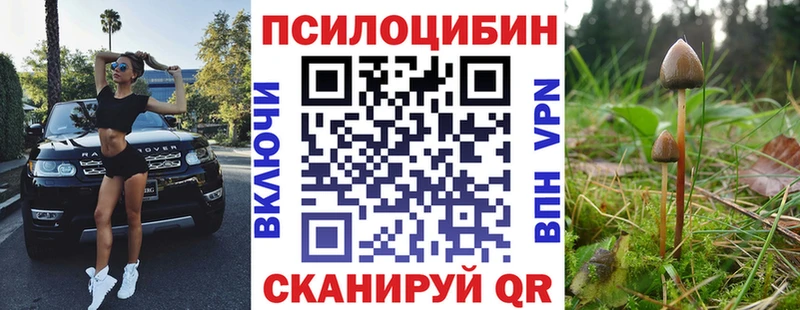 Галлюциногенные грибы Magic Shrooms  Купить  Новороссийск 